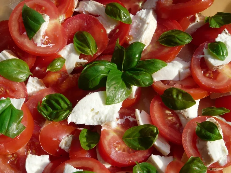 Fresh mozzarella with tomatoes and basil