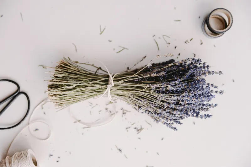 Kitchen scissors beside a bundle of dried herbs