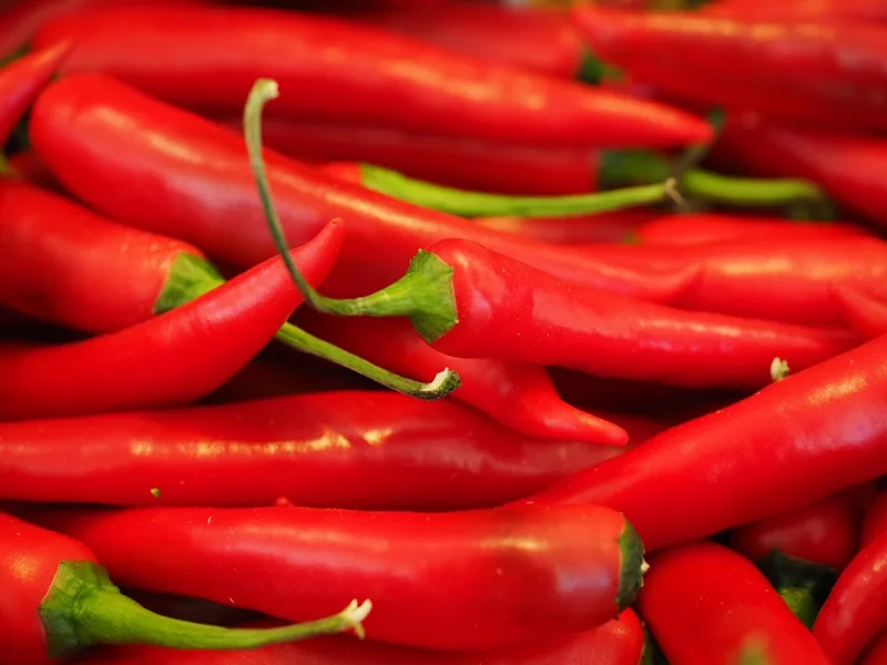 A pile of fresh red chili peppers, the base of most hot sauces
